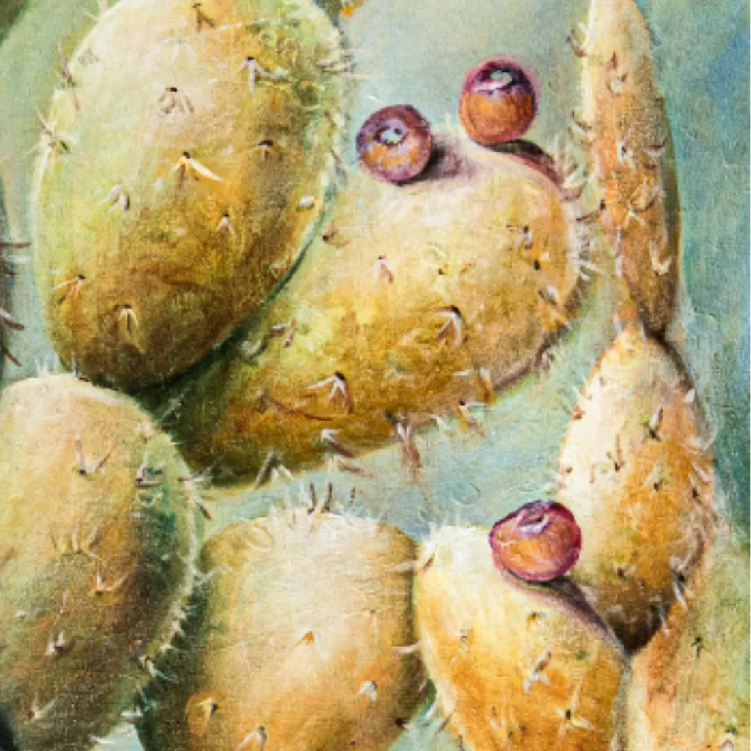 Espinas de la Vida